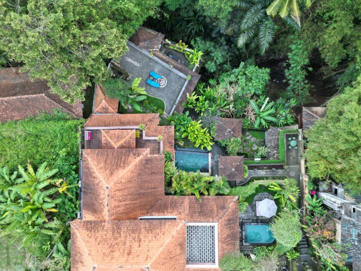 Villa Rumah Kelinci Ubud