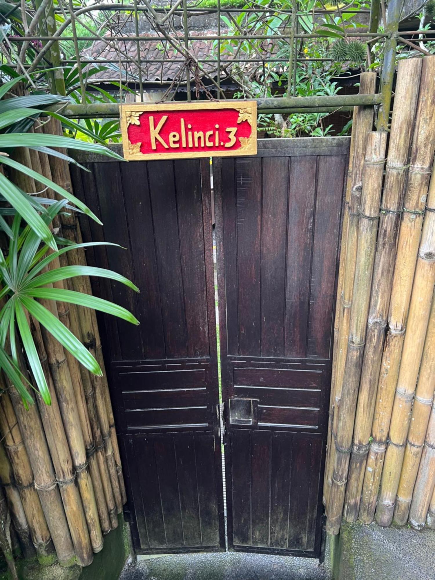 Rumah Kelinci * Ubud