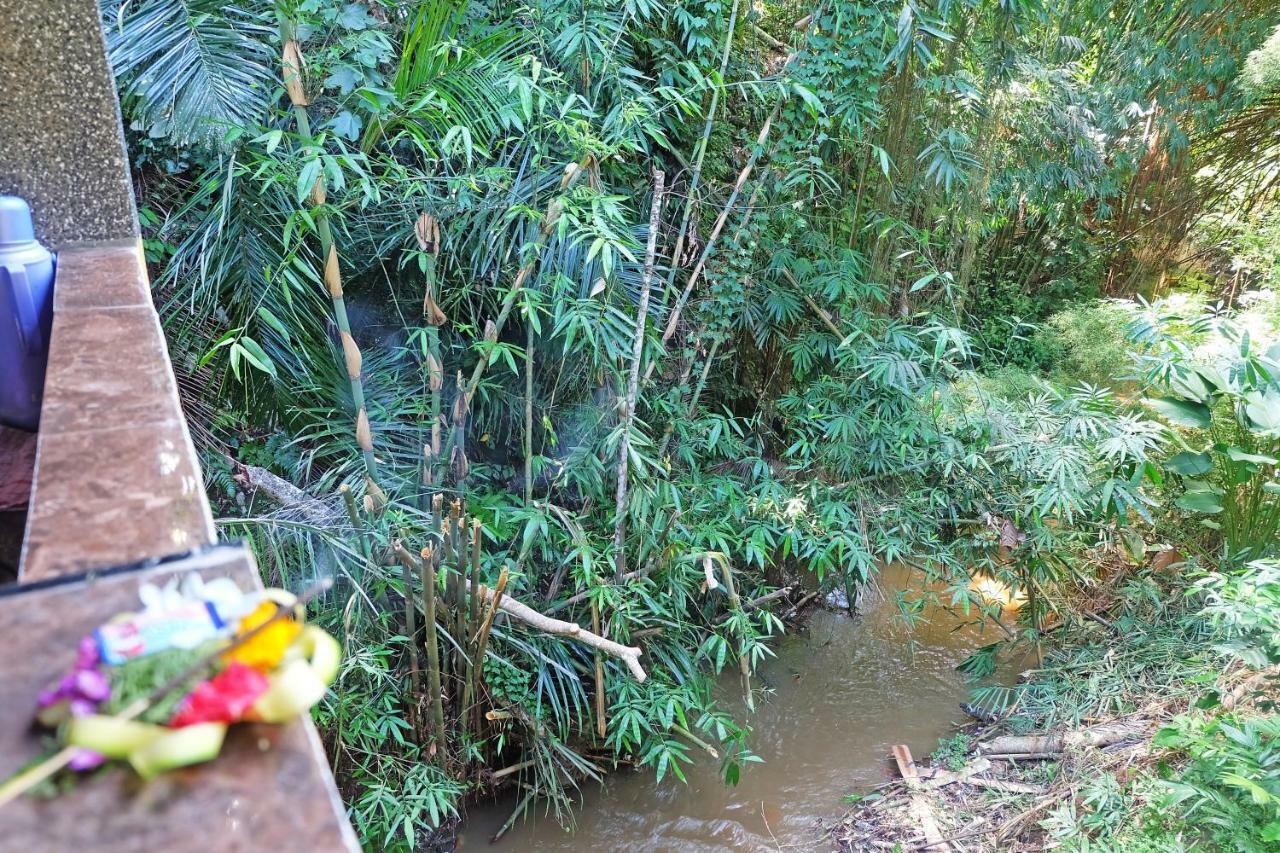 Villa Rumah Kelinci Ubud
