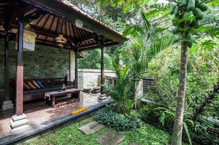 Rumah Kelinci Villa Ubud