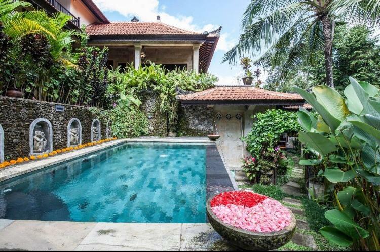 Rumah Kelinci Villa