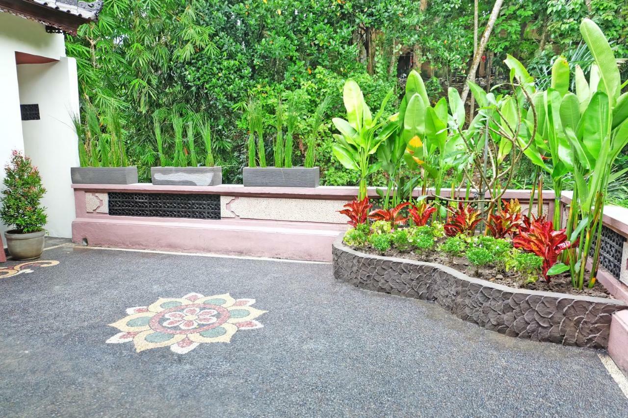 Rumah Kelinci *