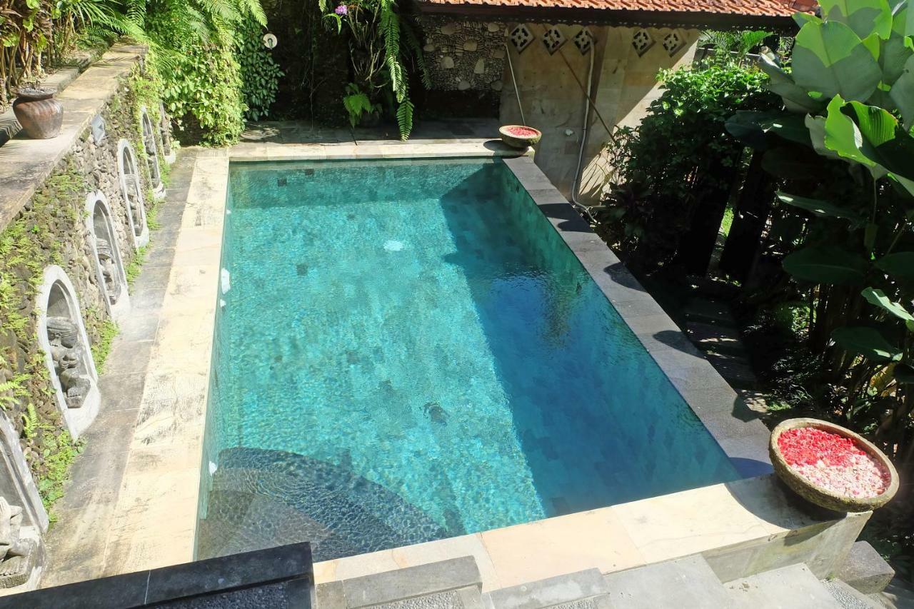 Rumah Kelinci *
